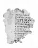 feuillet de codex ; fragment, image 4/4