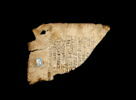feuillet de codex ; fragment, image 3/4