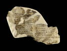 feuillet de codex ; fragments, image 2/4