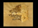 feuillet de codex ; fragment, image 1/5