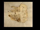 feuillet de codex ; fragment, image 2/5