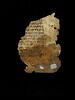 feuillet de codex ; fragment, image 2/5