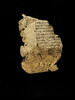 feuillet de codex ; fragment, image 1/5