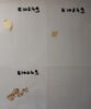 feuillet de codex ; fragments, image 2/5