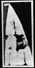 parchemin ; fragments, image 3/4