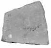 ostracon ; fragment, image 2/2