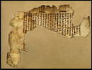 feuillet de codex ; fragment, image 1/5