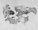 feuillet de codex ; fragment, image 5/5