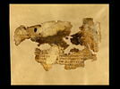 feuillet de codex ; fragment, image 1/5