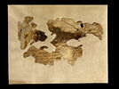 feuillet de codex ; fragment, image 2/5