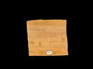 papyrus, image 2/2