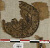 orbiculus, image 1/2