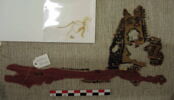décor de textile ; fragment, image 2/2
