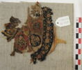 orbiculus ; fragment, image 2/2