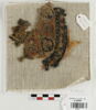 orbiculus ; fragment, image 1/2