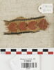 bande décorative d'habillement, image 1/2