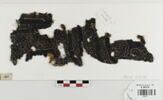 décor de textile ; fragment, image 1/2