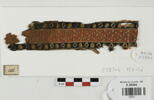 bande décorative d'habillement ; fragment, image 1/2