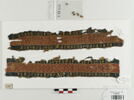 bande de poignet ; deux fragments, image 1/2