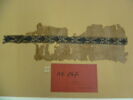clavus ; fragment, image 2/2