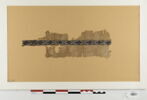 clavus ; fragment, image 1/2