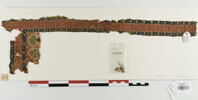 clavus ; fragment, image 2/3