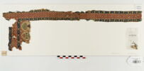 clavus ; fragment, image 1/3