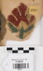 décor de textile, image 1/2