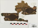 clavus, image 1/2