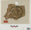 orbiculus ; fragment, image 1/2