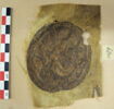 orbiculus, image 2/2