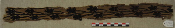 clavus, image 2/2
