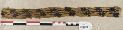 clavus, image 1/2