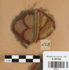décor de textile, image 1/2