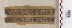 bande de poignet, image 1/2