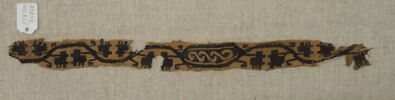 clavus, image 2/2