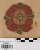 décor de textile, image 1/2