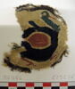 orbiculus ; fragment, image 2/2
