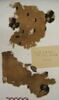 décor de textile ; fragments, image 2/3