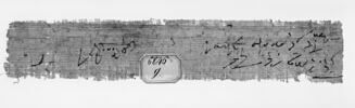 papyrus, image 2/2