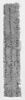 papyrus, image 1/2