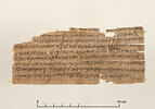 papyrus documentaire, image 1/3