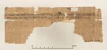 papyrus documentaire, image 2/4