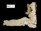 feuillet de codex ; fragment, image 2/2
