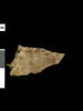 feuillet de codex ; fragment, image 2/2