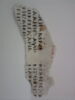 feuillet de codex ; fragment, image 3/5