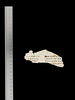 feuillet de codex ; fragment, image 2/5