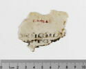 feuillet de codex ; fragment, image 2/5