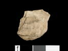 ostracon, image 2/2