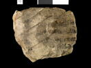 ostracon, image 1/2